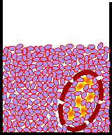 Animation Osmose 1